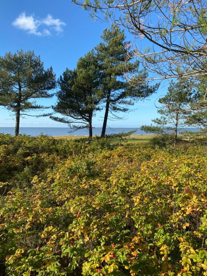 Altes Pastorenhus - Land Und Meer Osterbruch Esterno foto